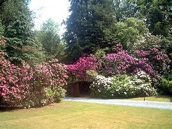 Graythwaite Hall ゲストハウス